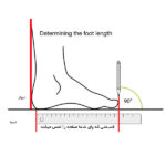 ترویس ساقدار